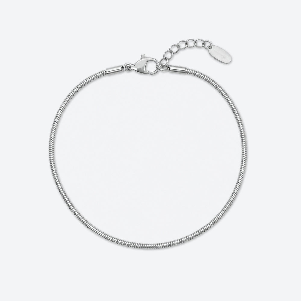 A silver-toned metal snake chain bracelet with a lobster clasp, extension chain, and a blank oval tag, shown on a light gray background.