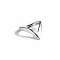 Fragment Ring